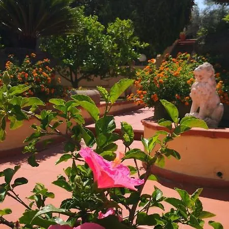 Igea Hotel Sorrento