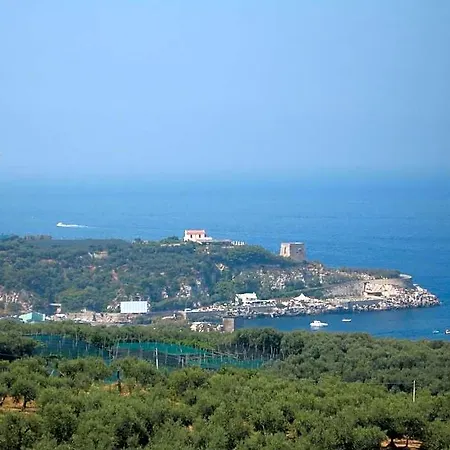 Igea Σορέντο